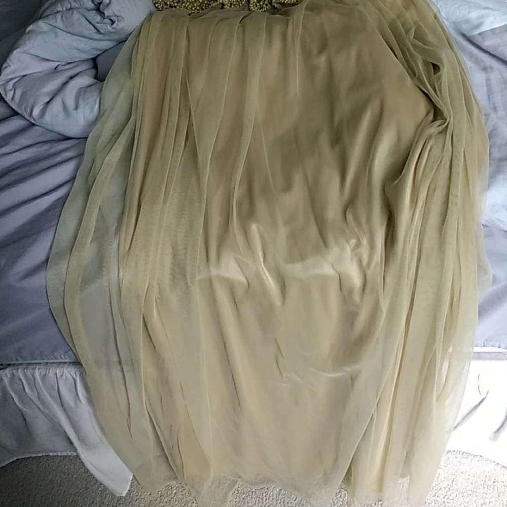 Anthropologie Beaded Arabella Dress - Picture 4 of 6